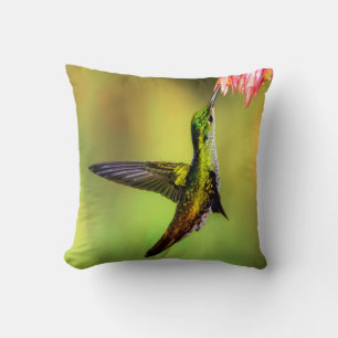 Hummingbird Pink Flower Bird Cushion