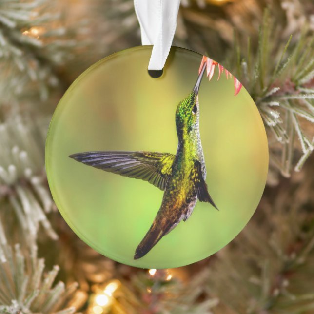 Hummingbird Pink Flower Bird Ornament (Tree)
