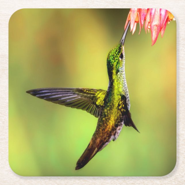 Hummingbird Pink Flower Bird Square Paper Coaster (Front)