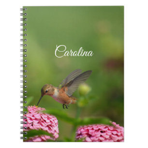 Hummingbird Pink Flowers Notebook