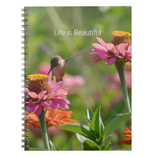 Hummingbird Pink Zinnia Flowers (my photography) Notebook