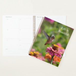 Hummingbird Pink Zinnia Flowers (photo by me) Planner