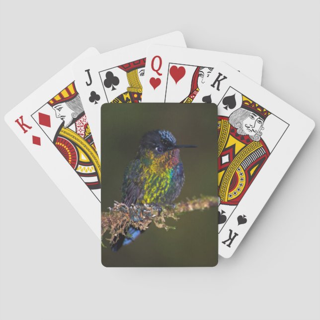 Hummingbird Playing Cards (Back)