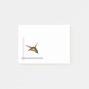 Hummingbird Post-it Notes
