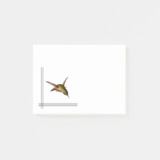 Hummingbird Post-it Notes