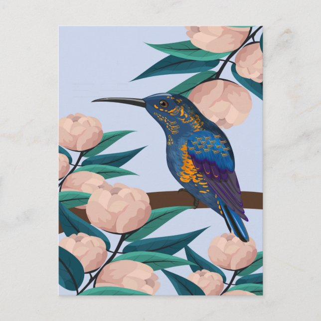 Hummingbird Postcard (Front)