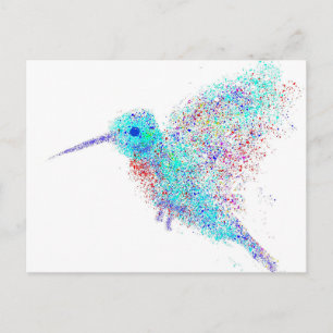 Hummingbird Postcard