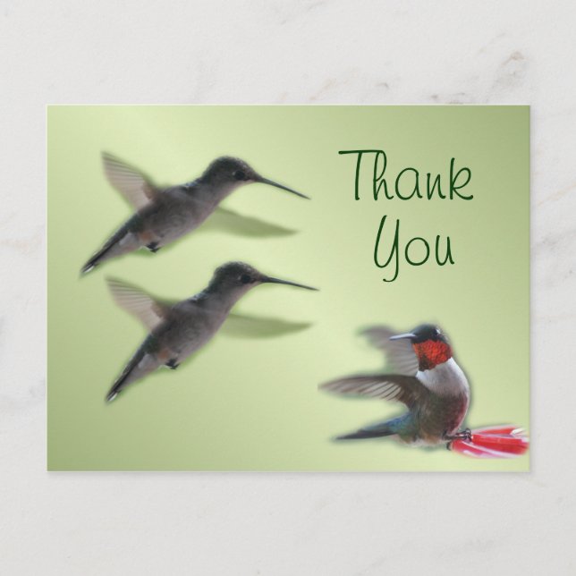 Hummingbird Postcard Thank You or any occasion (Front)