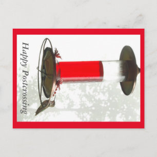 Hummingbird Postcrossong Postcard