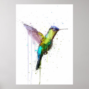 Hummingbird Poster