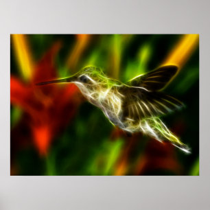 Hummingbird Poster