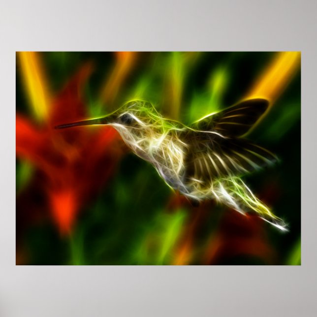 Hummingbird Poster (Front)