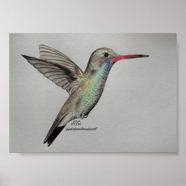 Hummingbird - Print (Front)