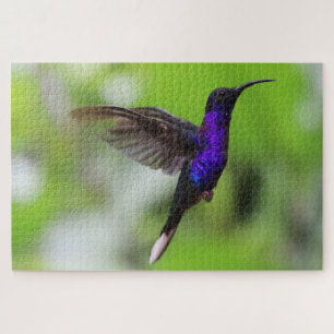 Hummingbird puzzle