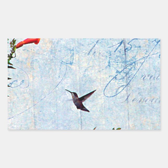 Hummingbird Rectangular Sticker (Front)
