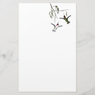 Hummingbird Recycled Stationery