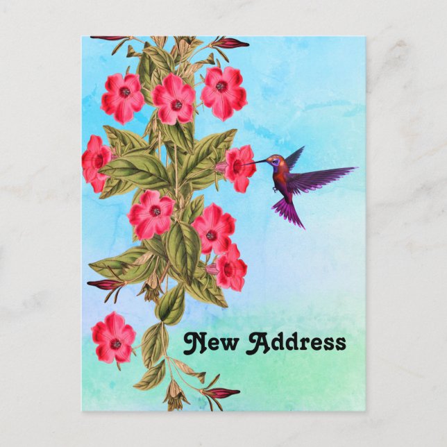 Hummingbird Red Flowers Blue Shades Background Announcement Postcard (Front)