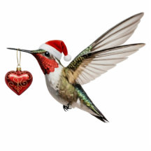 Hummingbird & Red Heart Bird Christmas Ornament