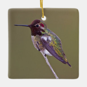 Hummingbird resting ceramic ornament