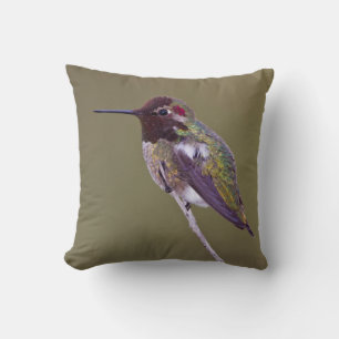 Hummingbird resting cushion