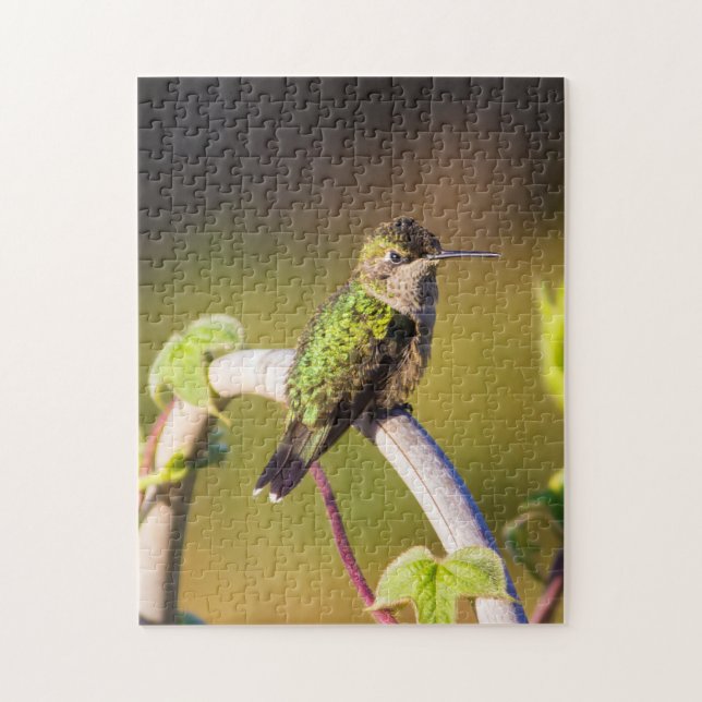 Hummingbird resting on a trellis  jigsaw puzzle (Vertical)