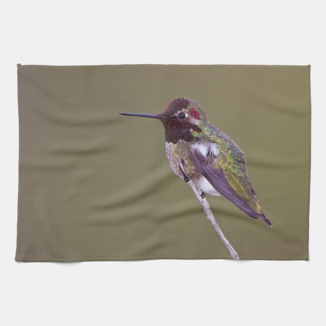Hummingbird resting tea towel (Horizontal)