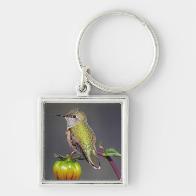 Hummingbird rests on flower bud key ring (Front)