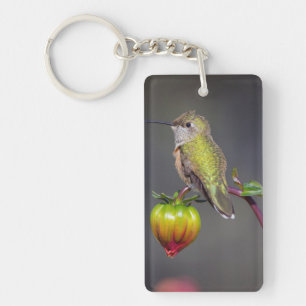 Hummingbird rests on flower bud key ring