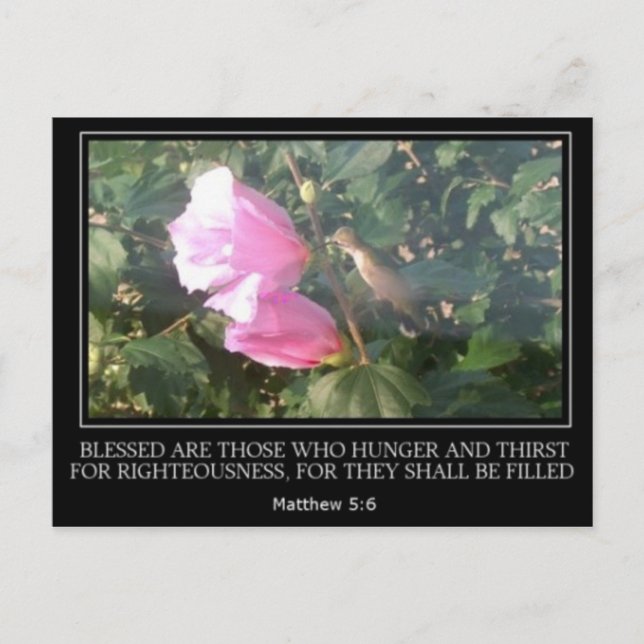 Hummingbird & Rose of Sharon Scripture Post Card (Front)