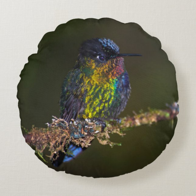 Hummingbird Round Cushion (Front)