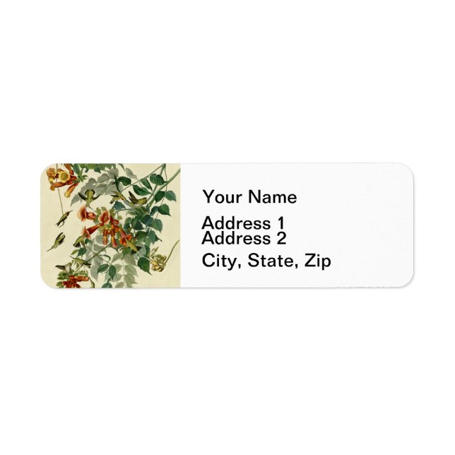 Hummingbird Ruby Throated Audubon Bird (Front)
