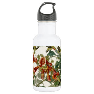 Hummingbird Ruby Throated Audubon Bird 532 Ml Water Bottle