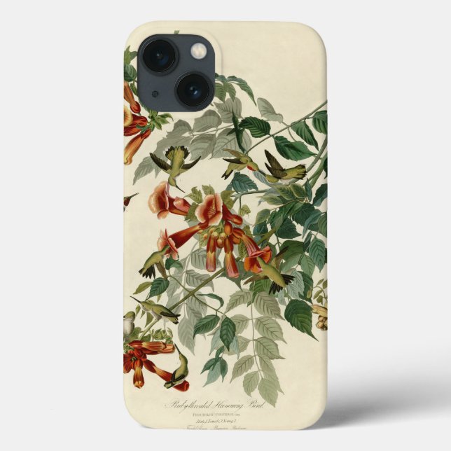 Hummingbird Ruby Throated Audubon Bird Case-Mate iPhone Case (Back)