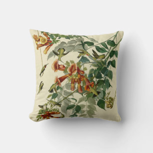 Hummingbird Ruby Throated Audubon Bird Cushion