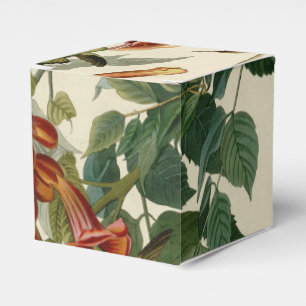 Hummingbird Ruby Throated Audubon Bird Favour Box