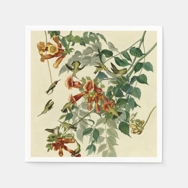 Hummingbird Ruby Throated Audubon Bird Napkin (Front)