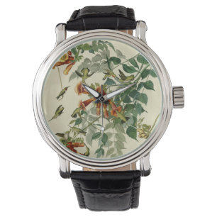 Hummingbird Ruby Throated Audubon Bird Watch