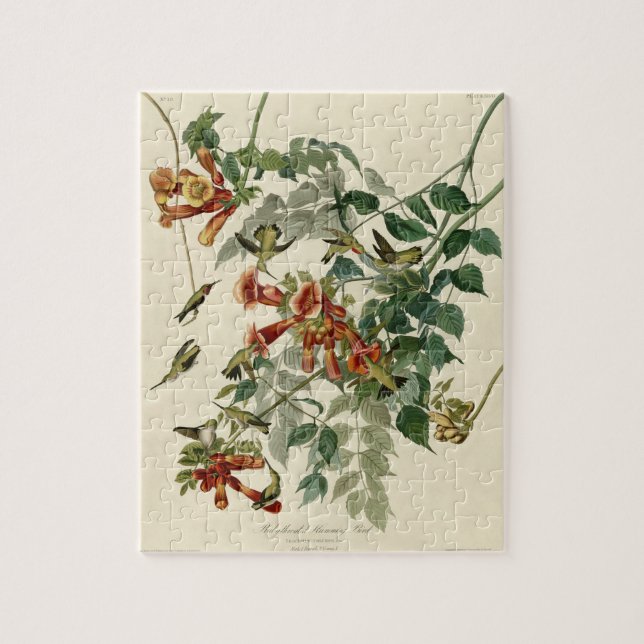 Hummingbird Ruby Throated Audubon Jigsaw Puzzle (Vertical)