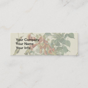 Hummingbird Ruby Throated Audubon Mini Business Card