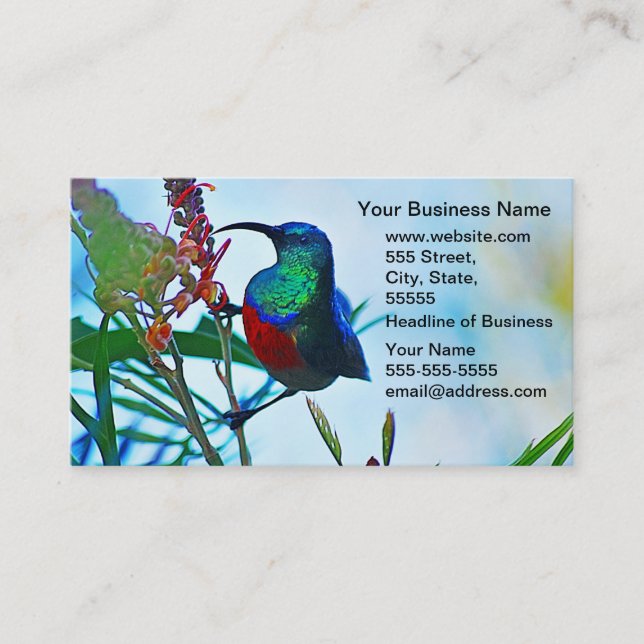 Hummingbird ruby throated business card (Front)