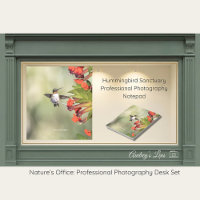 Hummingbird Sanctuary Professional Photography