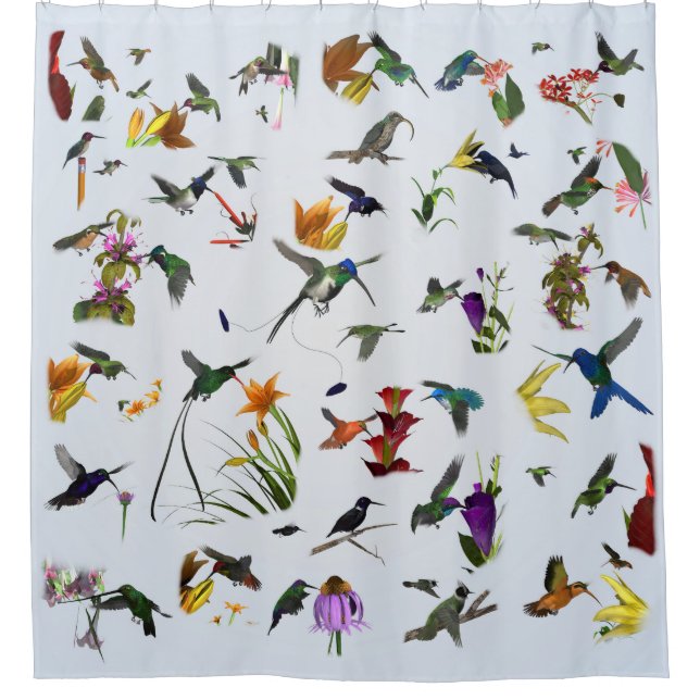 Hummingbird Shower (Blue) Curtain (Front)