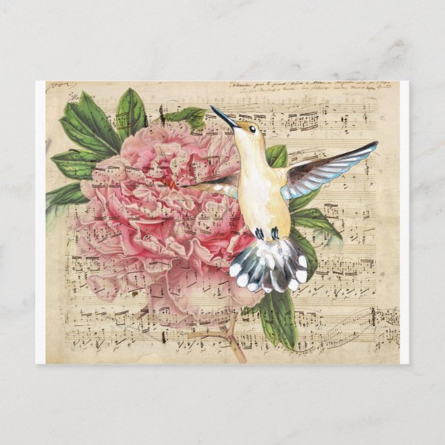 Hummingbird Song Postcard (Front)