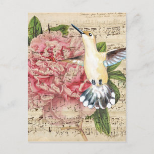Hummingbird Song Postcard