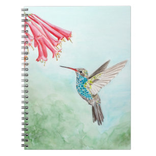 Hummingbird spiral notebook