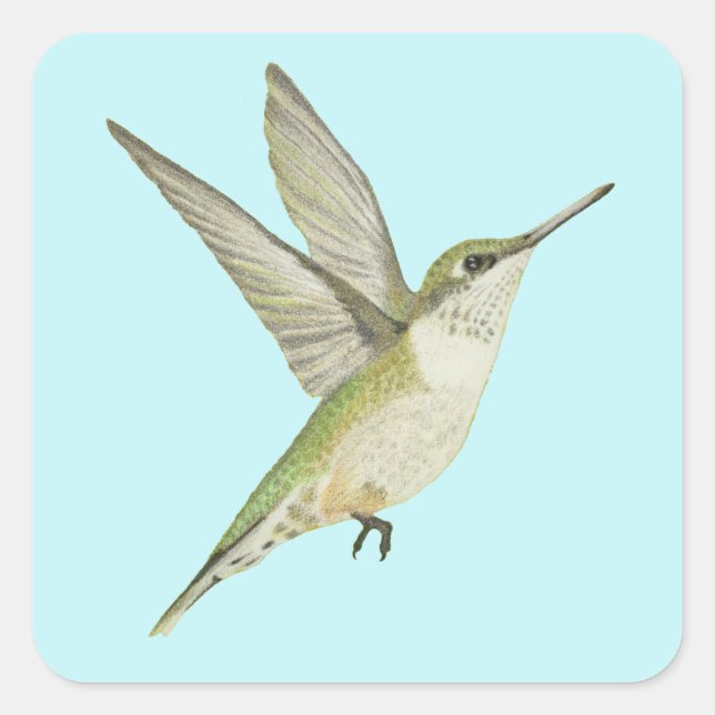 Hummingbird Square Sticker (Front)