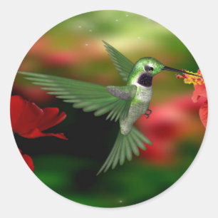 Hummingbird sticker