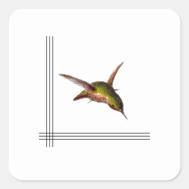 Hummingbird Sticker (Front)