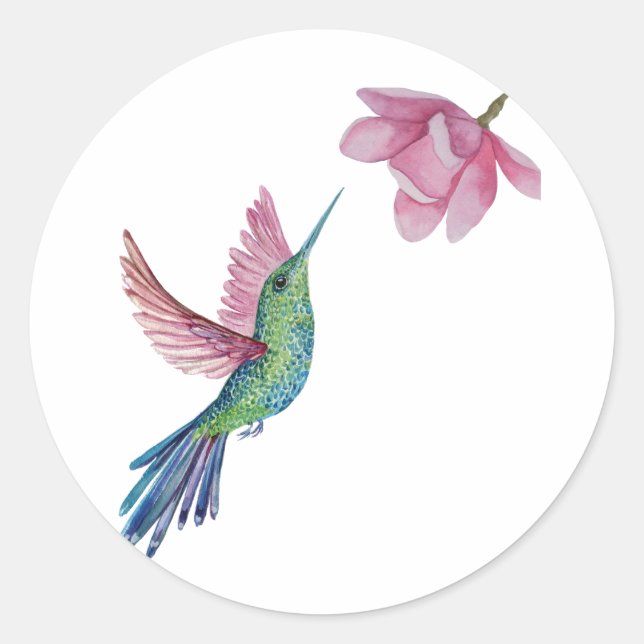 Hummingbird Sticker (Front)