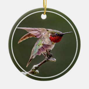 Hummingbird Stretches  Ceramic Tree Decoration